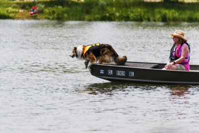 Steering-the-boar-2-1